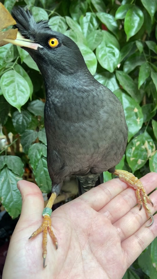 八哥电视手机版w八哥手机版电视剧大全-第2张图片-太平洋在线下载 八哥电视手机版w八哥手机版电视剧大全-第2张图片-太平洋在线下载