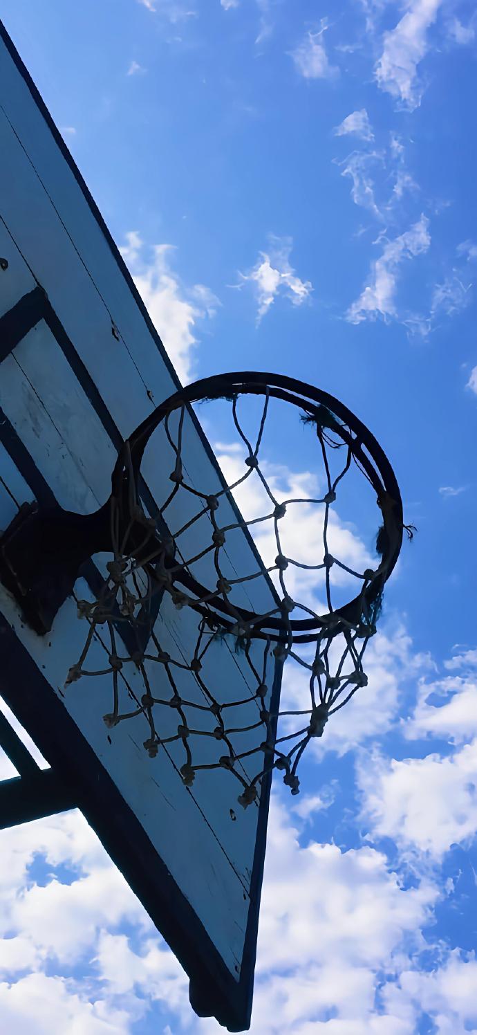 不可思议的篮球手机版愤怒的小鸟nba猪猪大灌篮安卓下载-第2张图片-太平洋在线下载