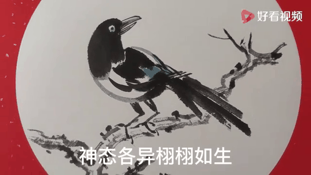 喜鹊视频客户端喜鹊视频在线观看-第1张图片-太平洋在线下载