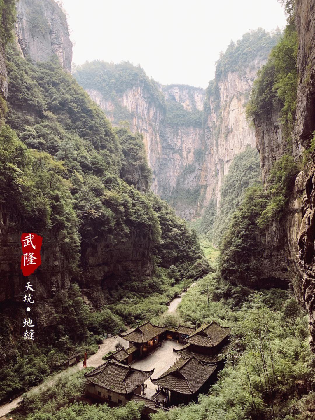 苹果版爱武隆苹果版ios版应用商店