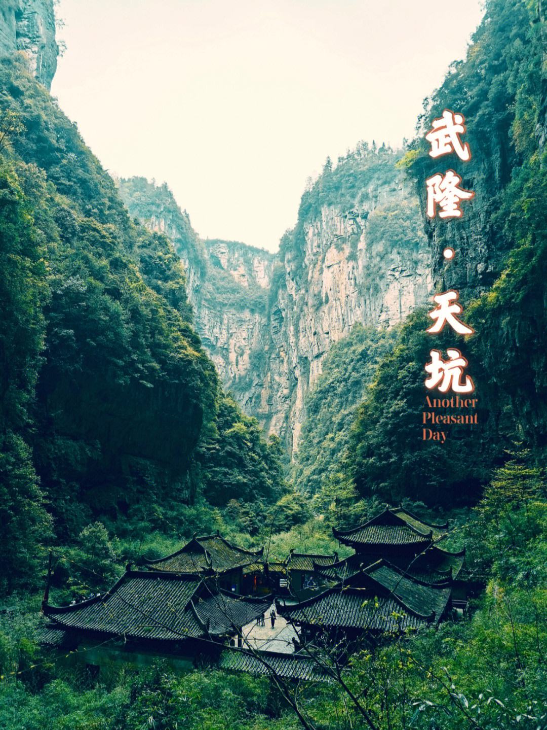 苹果版爱武隆苹果版ios版应用商店-第2张图片-太平洋在线下载