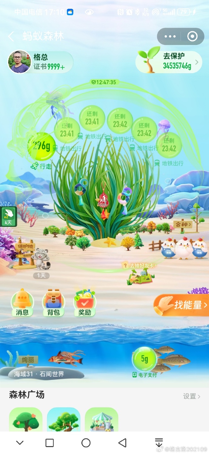 客户端蚂蚁森林森林一直在启动客户端